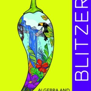 Algebra and Trigonometry 7th Edition Blitzer - Test Bank