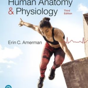 Human Anatomy and Physiology 3rd Edition Amerman - Test Bank