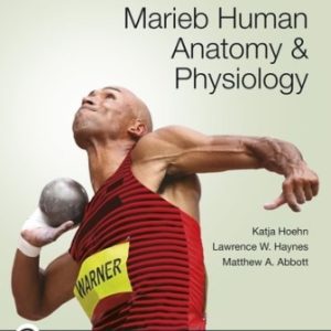 Marieb Human Anatomy and Physiology 12th Edition Hoehn - Test Bank