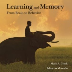 Learning and Memory From Brain to Behavior 4th Edition Gluck - Test Bank