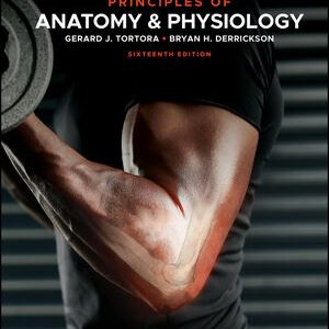 Principles of Anatomy and Physiology 16th Edition Tortora - Test Bank